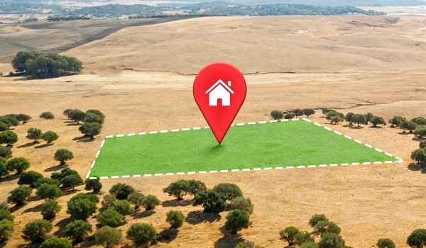 Investing in Plots