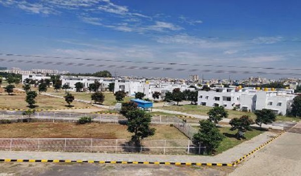 Plots in Electronic City